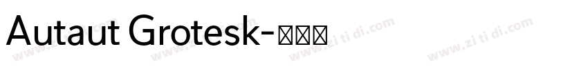 Autaut Grotesk字体转换